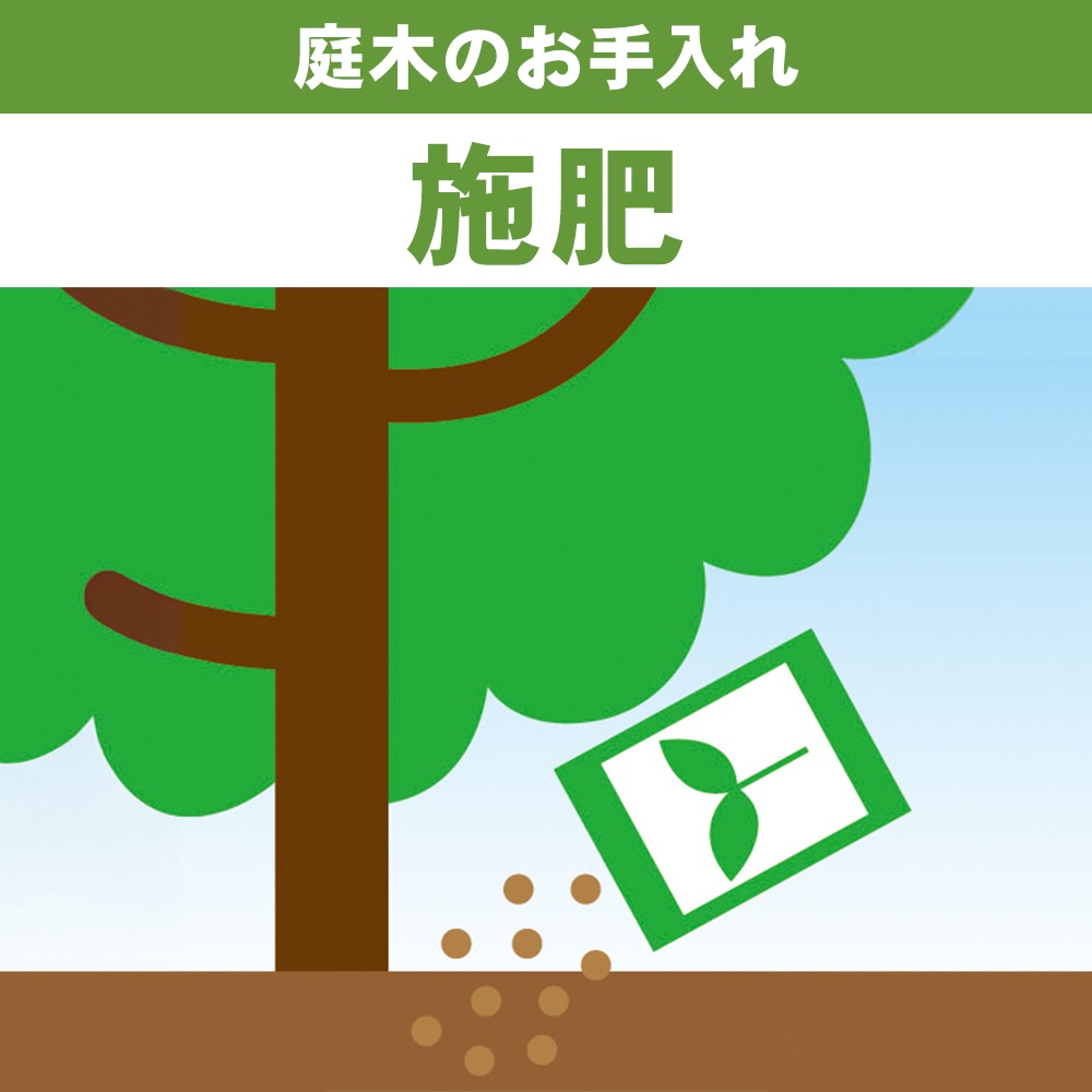 施肥　１本～