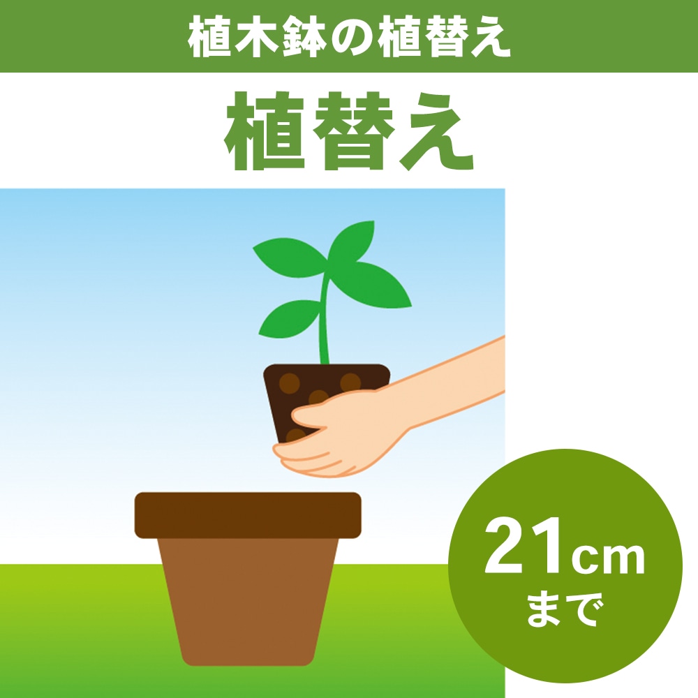 植木鉢の植替え　２１ｃｍまで