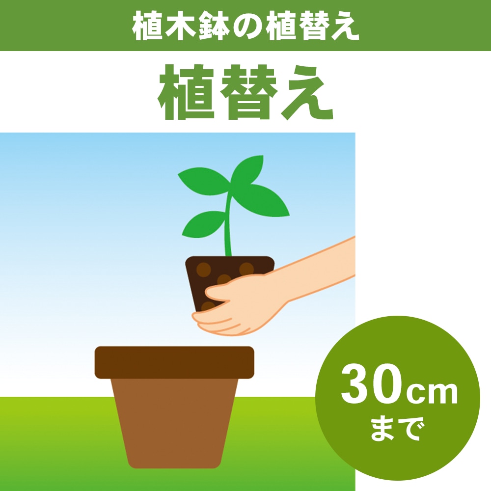 植木鉢の植替え　３０ｃｍまで