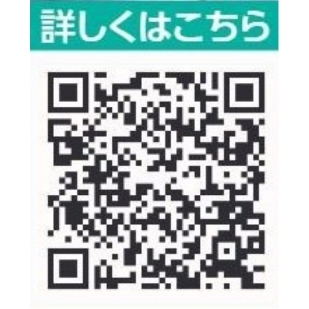 YKK ラチス面格子 2LA型(壁付タイプ) 1290×H1050