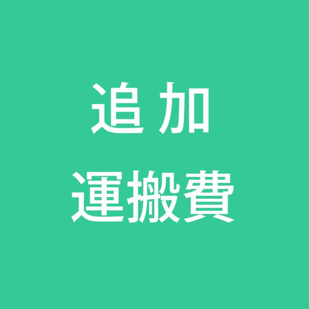 追加運搬費　洗面化粧台　荷揚げ費
