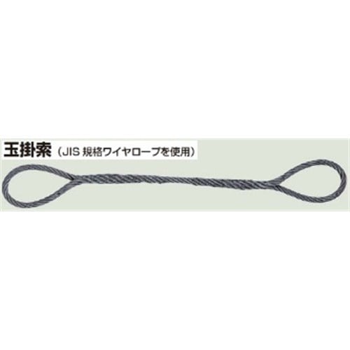 玉掛けワイヤー１２ｍｍ×４ｍ: 工具|ホームセンターコーナンの通販サイト