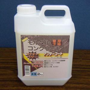 アンダーコートカチオンパワー　２ｋｇ ２ｋｇ