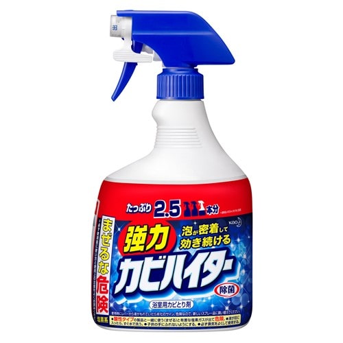 花王　強力カビハイター　ハンディスプレー特大　本体　１０００ｍｌ