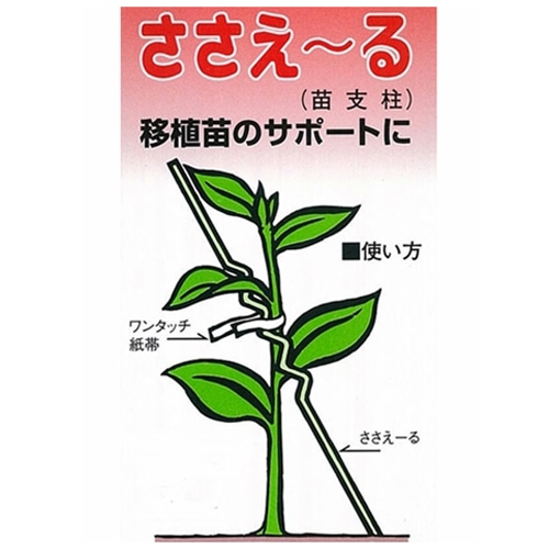 苗支柱ささえ～る　10本入 ライトグリーン