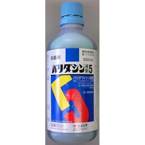 バリダシン液５　５００ｍｌ