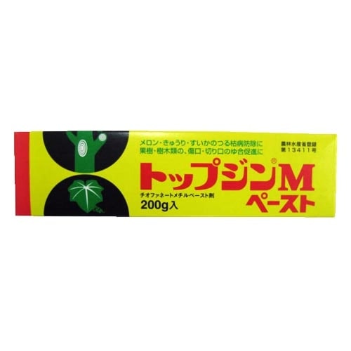 トップジンＭペースト　２００ｇ