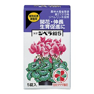 ＳＴジベラ錠５　５錠入