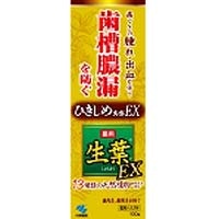 小林製薬 生葉 ＥＸ　１００ｇ 生葉 ＥＸ　１００ｇ