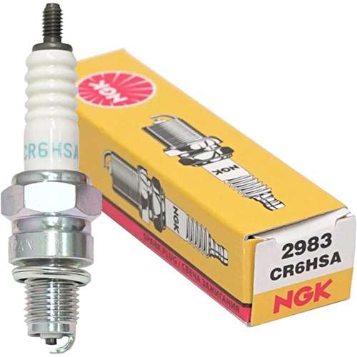 ＮＧＫ　プラグＣＲ６ＨＳＡ　2983