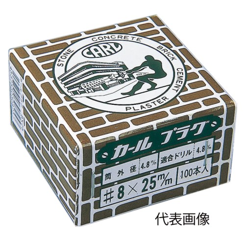 カールプラグ ８×２０
