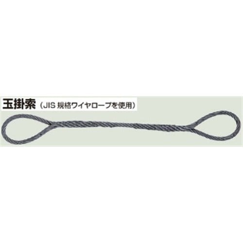 玉掛けワイヤー６ｍｍ×２ｍ