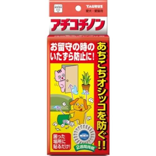 トーラス　アチコチノン