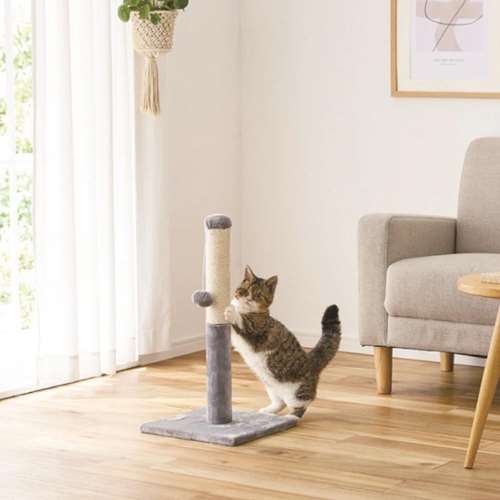 LIFELEX　爪とぎポール　５７ｃｍ　ＪＳ１２‐２１０４　グレー
