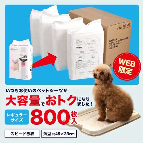 【 定期購入対象商品 基本送料無料＋5％割引！！ 】薄型ペットシーツ レギュラー ８００枚 通販限定品