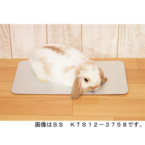 ひんやりプレート　小動物用　ＫＴＳ１２‐３７４１