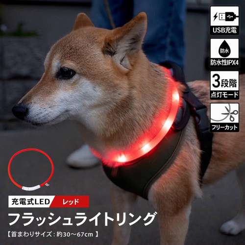 充電式ＬＥＤフラッシュライトリング　レッド　ＳＸ１２‐６０６０
