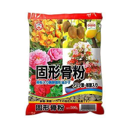 日清　固形骨粉　５００ｇ