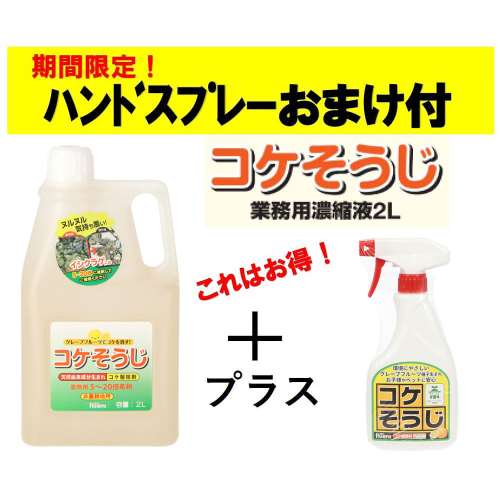 パネフリ工業 コケそうじ業務用濃縮液　2L ハンドスプレー500ml