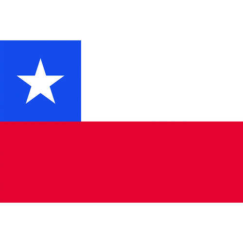 東京製旗　卓上旗（１６×２４ｃｍ）　チリ