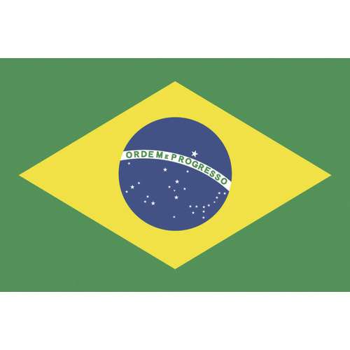 ■東京製旗　国旗Ｎｏ．１（７０×１０５ｃｍ）　ブラジル