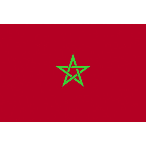 ■東京製旗　国旗Ｎｏ．１（７０×１０５ｃｍ）　モロッコ