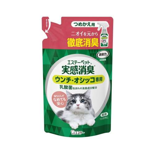 エステー　実感消臭スプレー　詰め替え　２４０ｇ