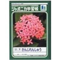 ジャポニカ学習帳　かんじれんしゅう５０字（十字リーダー入り）　２２ｍｍマス