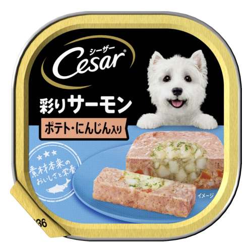 シーザートレイ　彩りサーモン　ポテト・にんじん入り　１００ｇ ×１２個セット