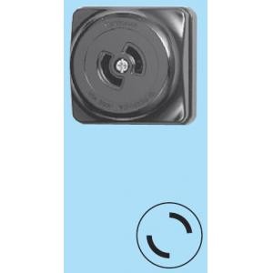 パナソニック（Pａｎａｓｏｎｉｃ）　2P20A引掛露出コンセント WK2220K