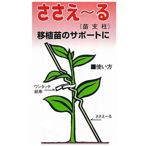 苗支柱ささえ～る　10本入