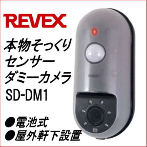 リーベックス　ダミーカメラ　ＳＤ‐ＤＭ１