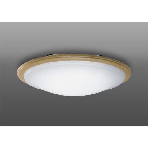 瀧住電機工業　ＬＥＤ内玄関灯　ＴＧ２００３８Ｄ