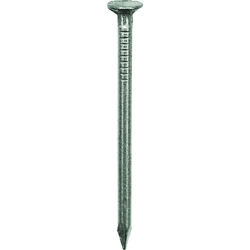 ダイドーハント　丸釘　１ｋｇ　Ｎ１９ 00051001