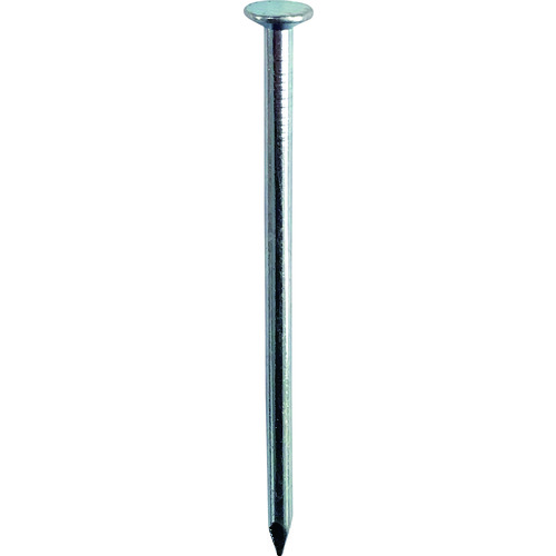 ダイドーハント　丸釘　１ｋｇ　Ｎ６５ 00051008