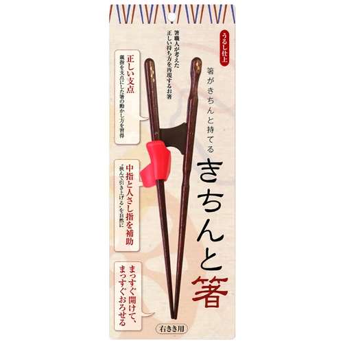 きちんと箸　右利き用 21cm