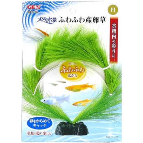 ＧＥＸ　ふわふわ産卵草　円