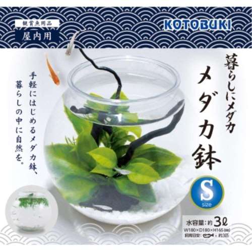 寿工芸　メダカ鉢　Ｓ
