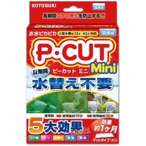 寿工芸　Ｐ・カットミニ　42