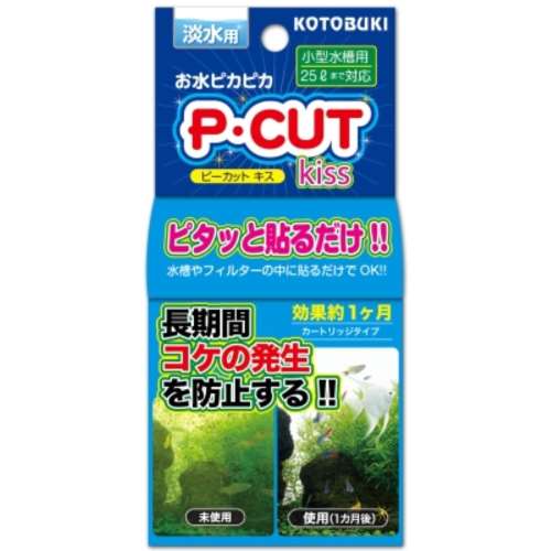 寿工芸　Ｐ・カットキッス　25