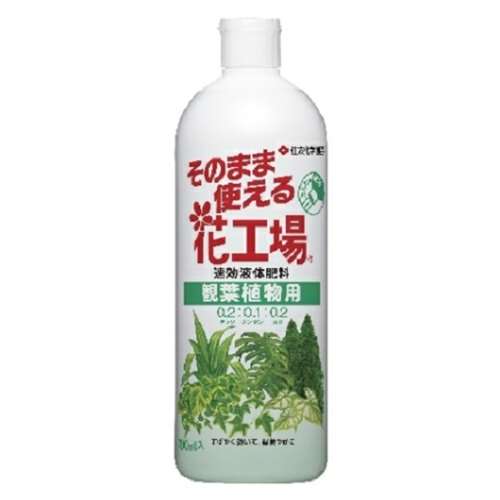 そのまま使える花工場観葉植物用　７００ｍｌ