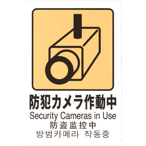 ■光　多国語ピクトサイン　防犯カメラ作動中 TGP20328