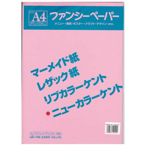 色画用紙　Ａ４　１０枚入り　うすもも