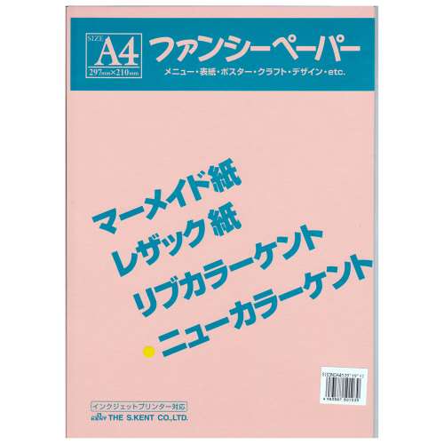 色画用紙　Ａ４　１０枚入り　うすだいだい