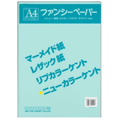 色画用紙　Ａ４　１０枚入り　うすみずいろ