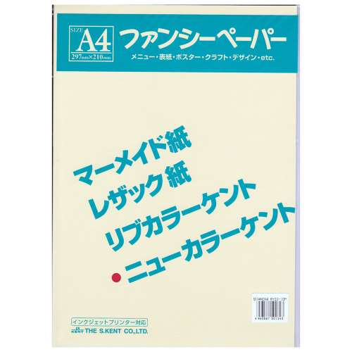 色画用紙　Ａ４　１０枚入り　ライトイエロー