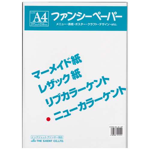 色画用紙　Ａ４　１０枚入り　ゆき