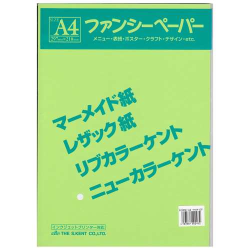 色画用紙　Ａ４　１０枚入り　わかくさ