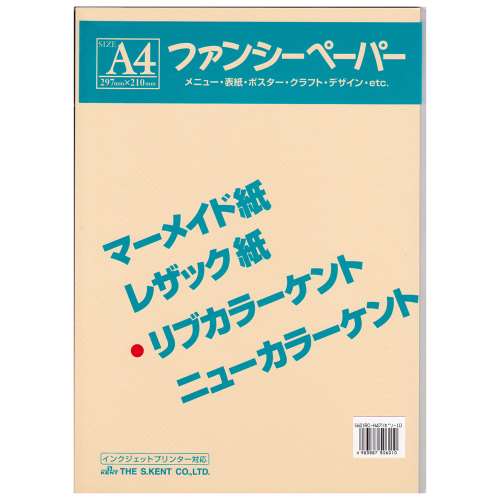 リブカラー色画用紙　Ａ４　１０枚入り　アイボリー