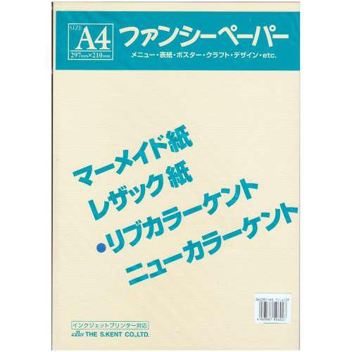 リブカラー色画用紙　Ａ４　１０枚入り　クリーム